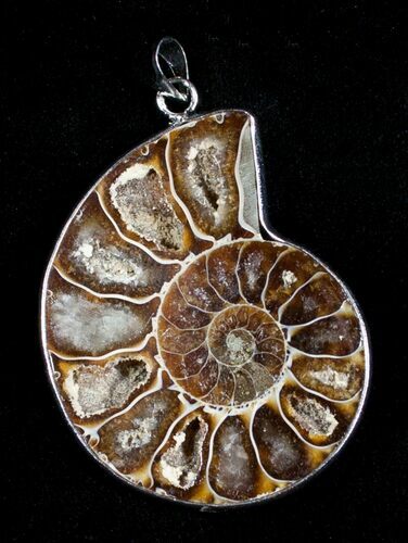 Polished Ammonite Pendant #3611